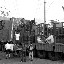 Shanghai - Marché poisson - Déchargement du camion