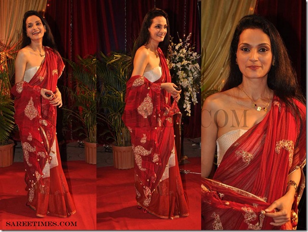 Designer_Sarees_ITA_Awards (3)