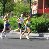 AVT 2009