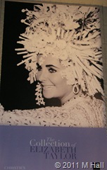 Liz with BOOM headpiece