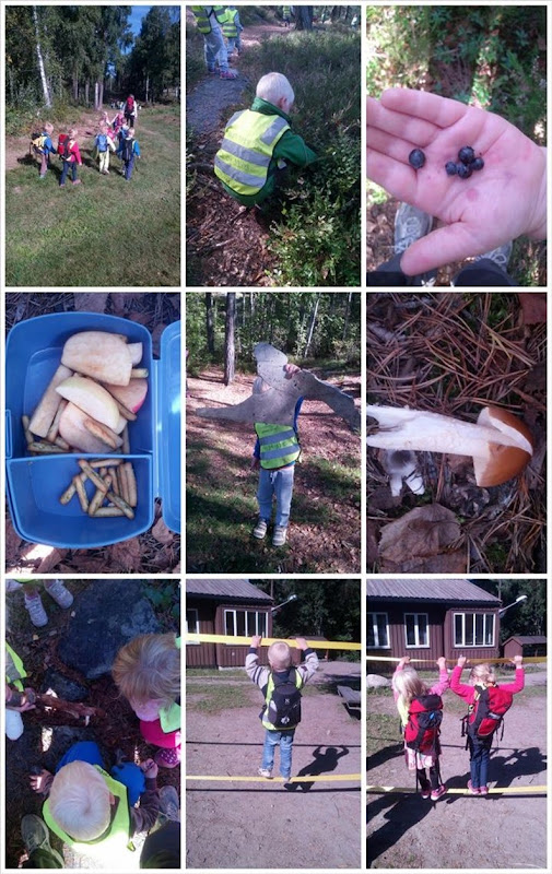 PhotoGrid_1378214052445 (Large) PhotoGrid_1378214052445 (Large)