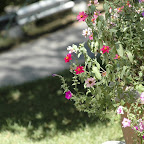 20061001-DSC_0325.jpg
