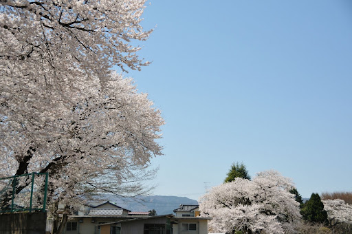 未来へ の掲示板投稿写真＆画像