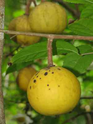 [image%255B26%255D.png]