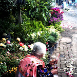 pasarbunga-06.jpg
