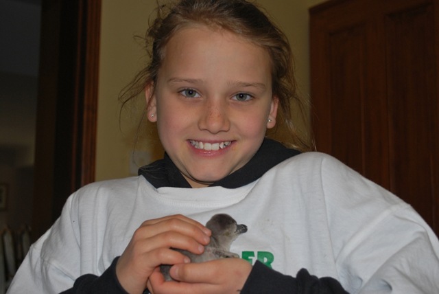 [DSC_0137%255B6%255D.jpg]