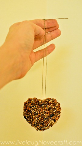 Valentine's day heart bird feeder_-2 Valentine's day heart bird feeder_-2