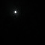 IMG_6749.JPG