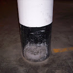 5 mai 2010 058.jpg