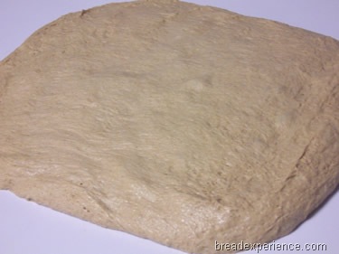[sprouted-wheat-bread%2520023%255B3%255D.jpg]