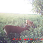 MDGC0164.JPG