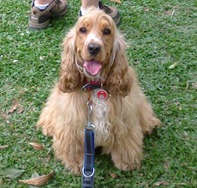 [2%2520Teca%2520antes%2520da%2520trilha%255B5%255D.jpg]