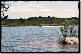 Cangrejos (3)
