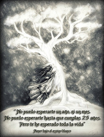 amor bajo el espino blanco