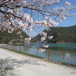 IMG_3473.JPG
