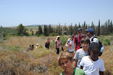 DSC_0175.JPG