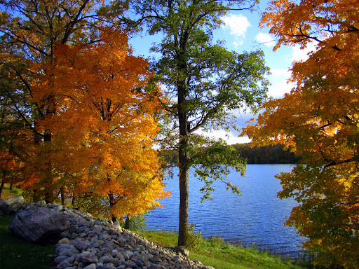 Lakeside near the lodge