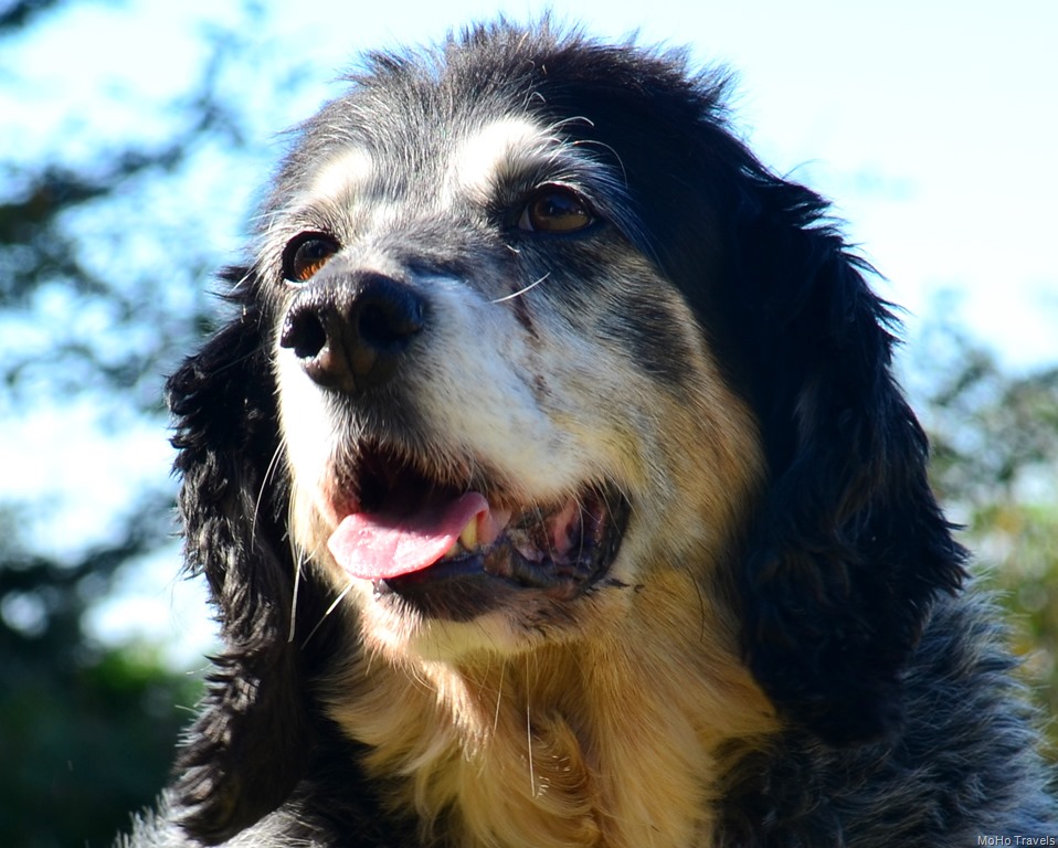 [Brookings_033%255B2%255D.jpg]