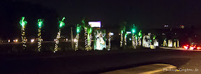 RiverbanksLights11-1.jpg