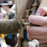 Slag om Grolle 2012 057 (Custom).JPG