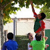 Árbol.jpg