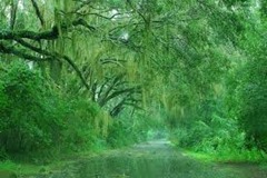 rain rain