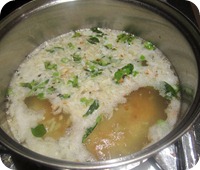 IMG_4976 IMG_4976