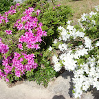 StudioKura_201204_MartijnTellinga_糸島