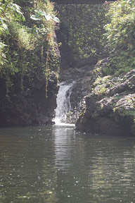 DSC_0934.jpg