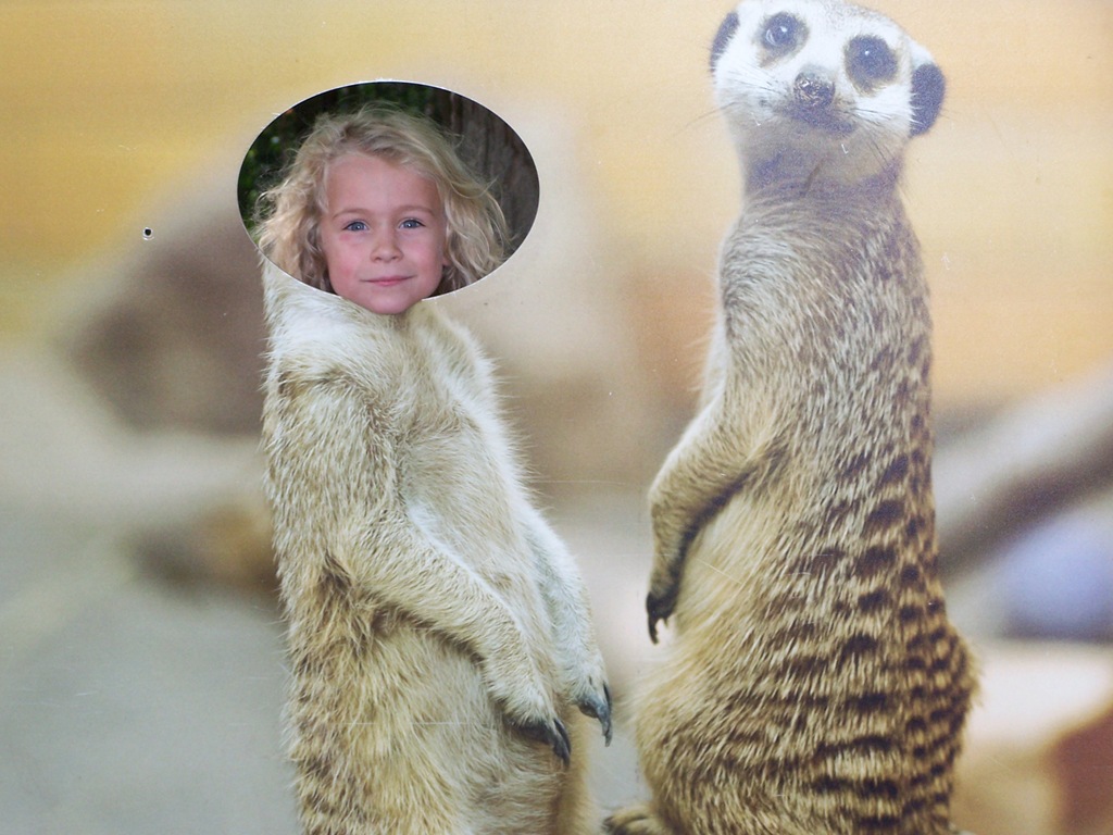 [100_3810%255B3%255D.jpg]