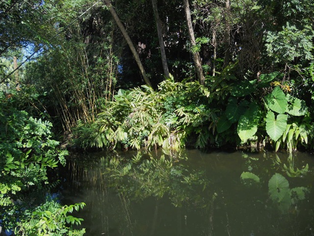 [floridatrip06824.jpg]