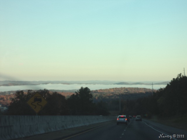 [DSC0525423.jpg]
