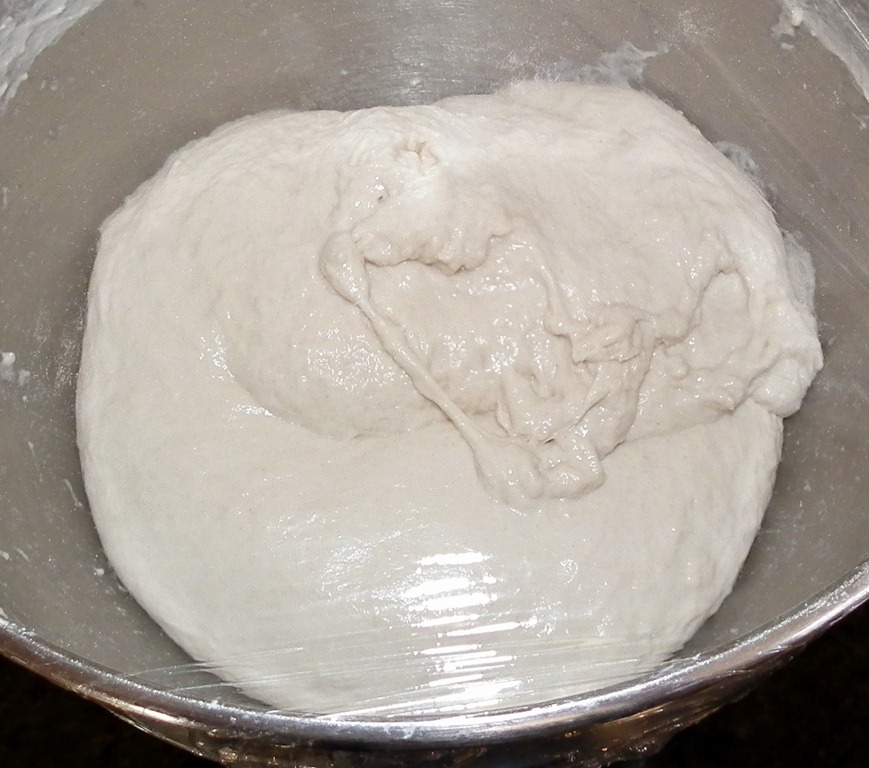 [Ciabatta%2520Dough%2520ready%2520to%2520rise%255B4%255D.jpg]