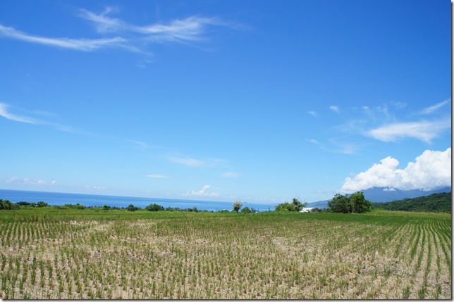 DSC05456 DSC05456