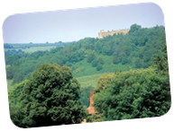 Marvel at Stunning Countryside Surroundings