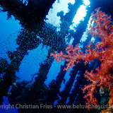 Red Sea Workshop - The 