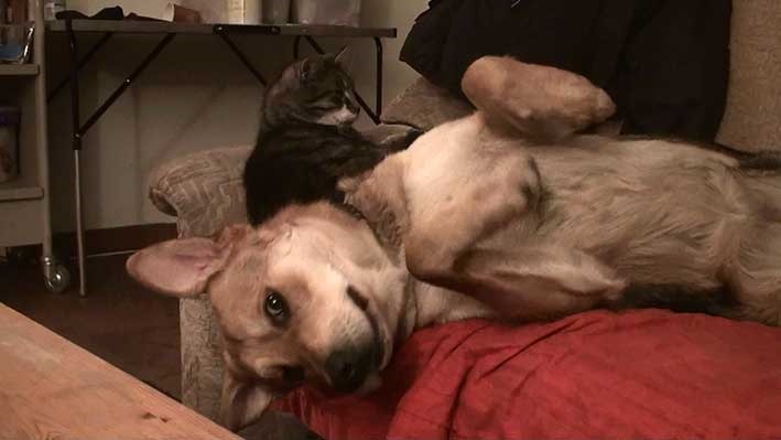 [20130226193200-%25284%2529%255B2%255D.jpg]