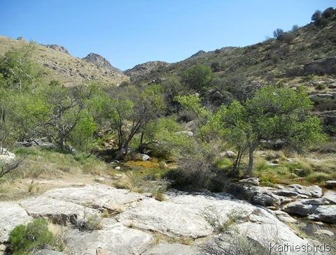 5. Molino vista-kab 5. Molino vista-kab