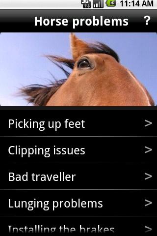 Horse problems