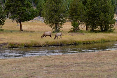 [DSC_0194%255B6%255D.jpg]