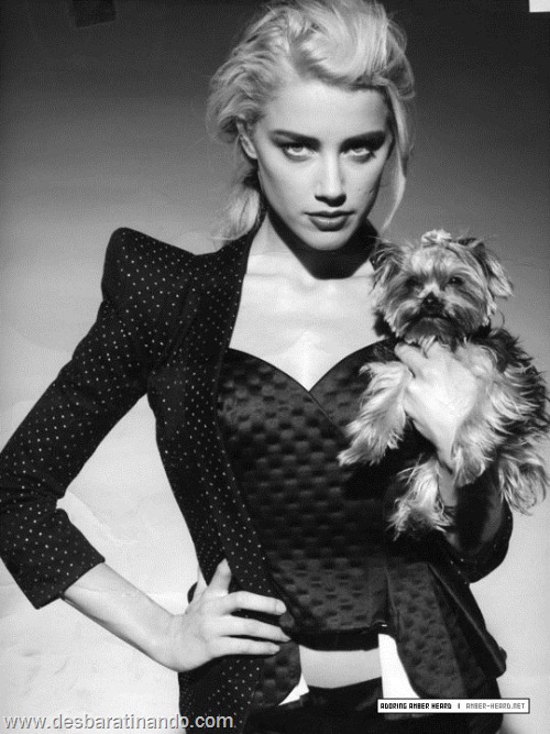 amber heard linda sensual sexy sedutora desbaratianando (84) amber heard linda sensual sexy sedutora desbaratianando (84)