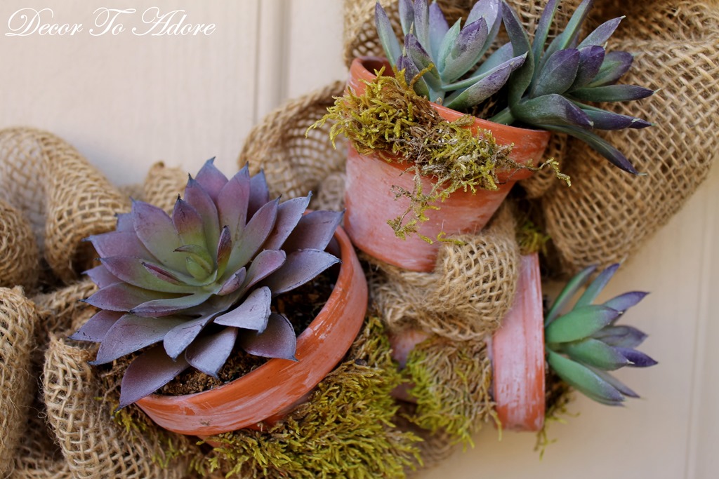 [fish%2520004%255B3%255D.jpg]