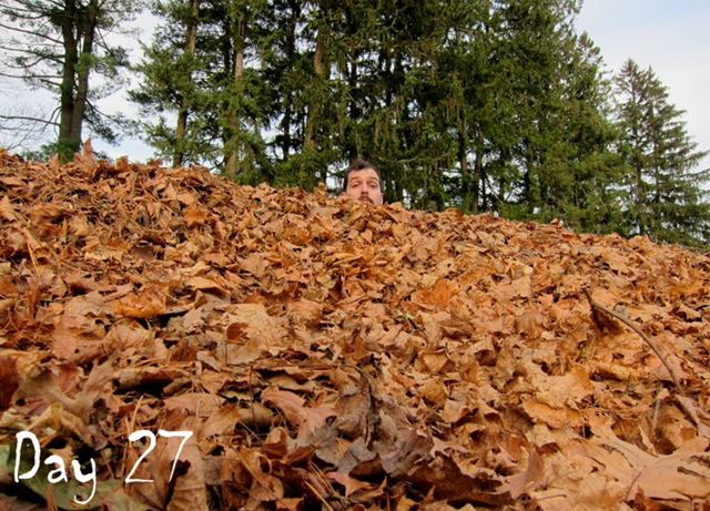 [day-27-leaf-pile-2%255B5%255D.jpg]