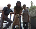 PABLO ADOPTADO ¡¡¡¡¡¡¡¡!!!!!