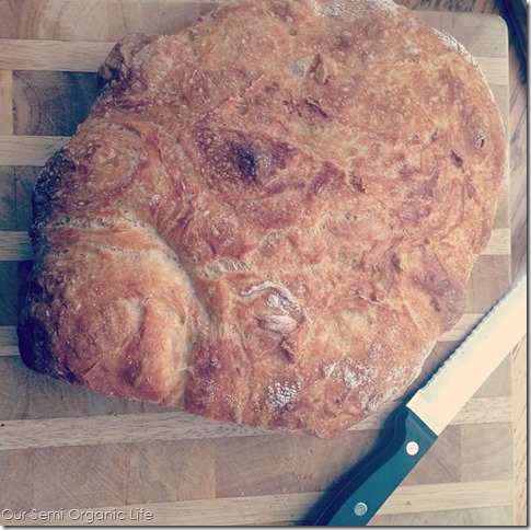 bread done bread done