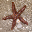 12-28-09_3335.jpg