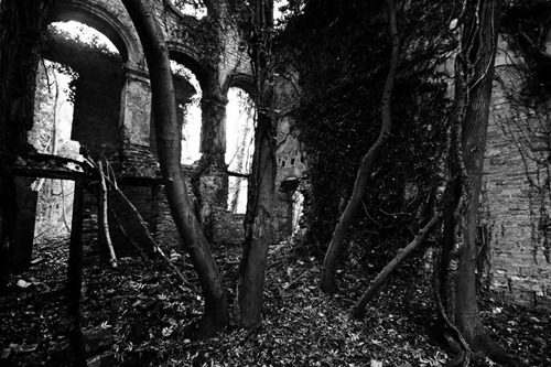 Nettleham-Hall-20