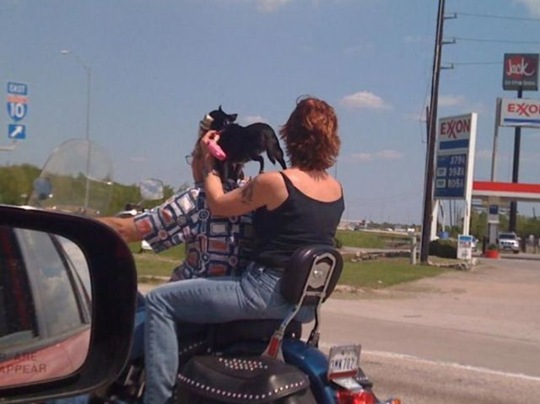 [viral-picdump-pics-83b4b3%255B2%255D.jpg]