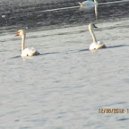 IMG_7907.JPG