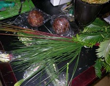 DSCN5578